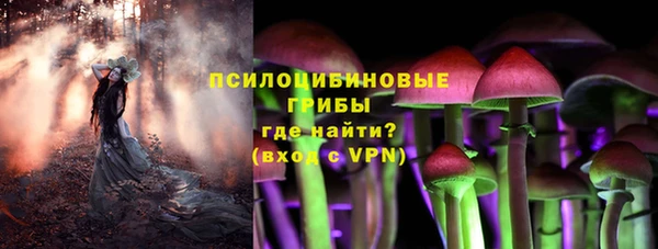 эйфоретик Переславль-Залесский