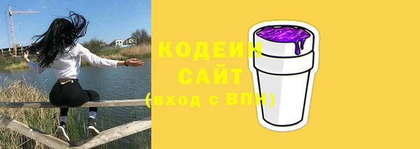дмт Пересвет