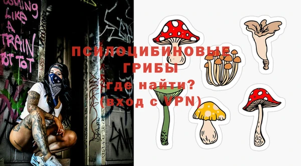 кокс Осташков