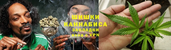 дмт Пересвет