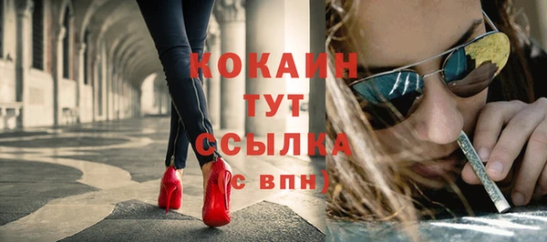 дмт Пересвет